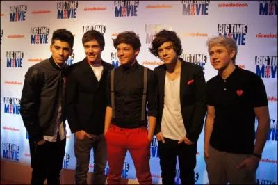 Qui est irlandais dans ce groupe ?