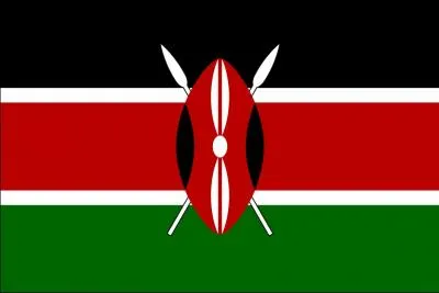 A quel pays appartient ce drapeau ?