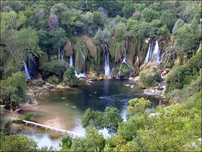 Je survole ces lieux, � la recherche d'une carcasse !