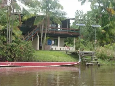 Dans les eaux du fleuve Maroni, je vis en meute, la l�gende veut que moi et mes cong�n�res puissions d�vorer un boeuf en quelques minutes !