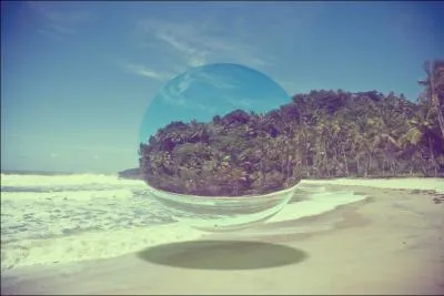 D'aspect g�latineux, je finis souvent ma vie sur une plage !