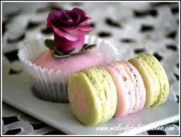 De quoi doit se nourrir Momo pour vivre ?