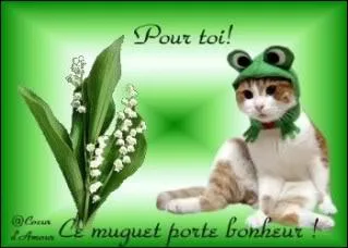 En France, la tradition d'offrir un brin de muguet porte-bonheur le jour du 1er mai date de 1561. Quel roi en fut l'initiateur ?