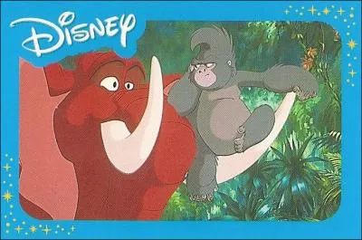 Pourquoi Tok et Tantor essaient-ils d'attirer Kerchak hors du repre des gorilles ?