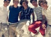 Quiz One Band, One Dream, One Direction !