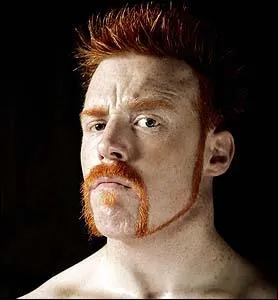 Quel est le vrai nom de Sheamus ?