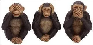 Loi du silence, que prtendent faire rgner la Mafia, la Camorra etc. , c'est :