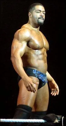 David Otunga faisait-il parti de la Nexus ou de la New Nexus ?