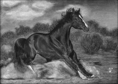 Quelle est la position  adopter pour arrter son cheval ?