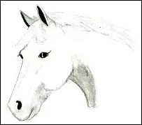 Si ton cheval a les oreilles pointes vers l'avant et que la nuque est flchie, c'est que ton cheval est :