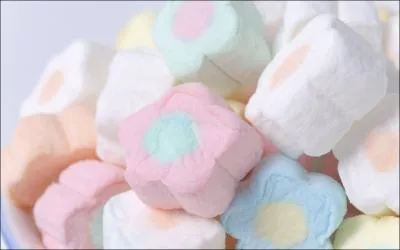 Comment se nomme ce bonbon ?