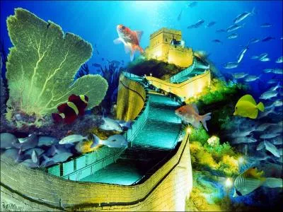 Tiens, c'est original comme image. Comment pourrait-on la nommer ?