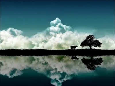 Quel animal voit-on ?