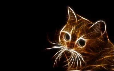 H ! Mais c'est notre chat aux doux yeux, comment se nomme-t-il ?