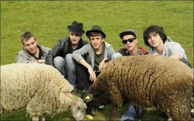 Quand il était plus jeune, Louis faisait partie d'un groupe de rock. Quel était le nom de ce groupe ?