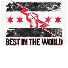 A quel catcheur appartient ce logo ?