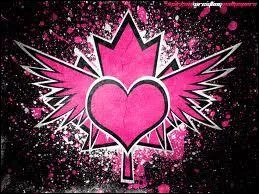 A quel groupe de catcheurs appartient ce logo ?