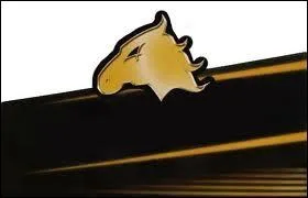 A quel groupe de catcheurs appartient ce logo ?