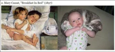 Il existe un chat avec le crne aplati !