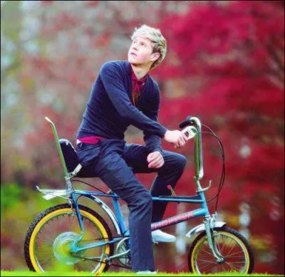 Combien mesure-t-il ?