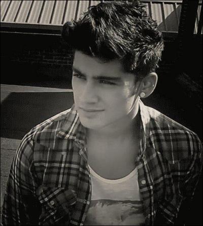 Quel est le plat prfr de Zayn ?