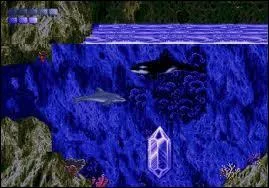 A vous de reconnaitre le jeu  partir de l'image.