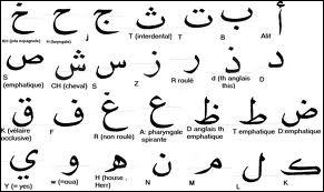 Il ne faut pas confondre langue et criture. L'alphabet arabe permet ainsi de transcrire plusieurs langues comme le malais, l'ourdou ou le :