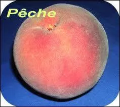 Ce fruit a-t-il un noyau ou des pépins ?