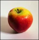 Ce fruit a-t-il un noyau ou des ppins ?