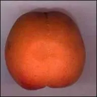 Ce fruit a-t-il un noyau ou des ppins ?