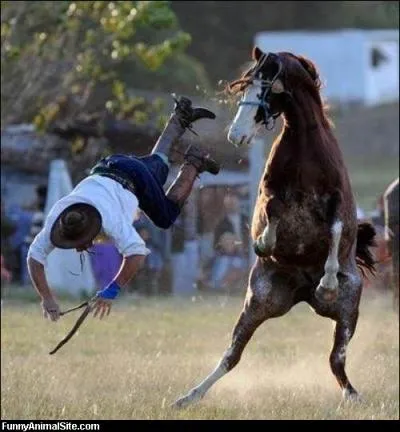 Il existe une ville clbre o cette course existe encore !