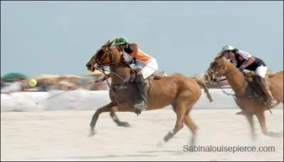 Dans ce sport, il ne faut pas perdre ... la balle !