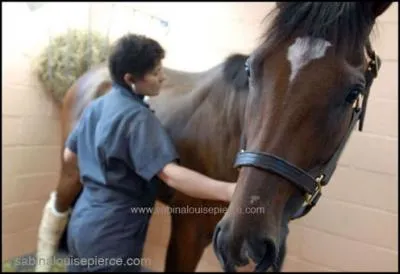 Alors que le dressage, lui, est bien sr destin au :