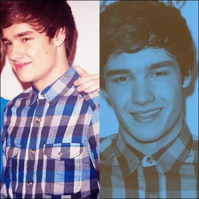 Reconnais-tu ce membre ?