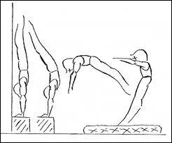 Comment appelle-t-on cette figure ?