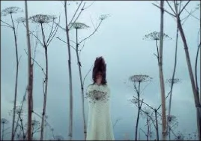 Auteur des "Poèmes Saturniens", né à Metz, pour qui l'âme rêveuse crée des paysages. "Et d'étranges rêves, Comme des soleils Couchants sur les grèves Fantômes vermeils".
Qui est-ce ?