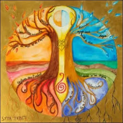 Frédéric Louis Sauser naquit en Suisse. "J'étais en mon adolescence J'avais à peine seize ans et je ne me souvenais déjà plus de mon enfance J'étais à 16 000 lieues de lieu de ma naissance".
De qui parlons-nous ?