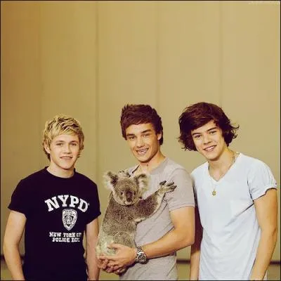 Qui n'a qu'un seul rein ?