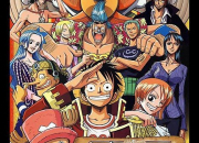 Quiz One Piece - A qui appartient ... ?