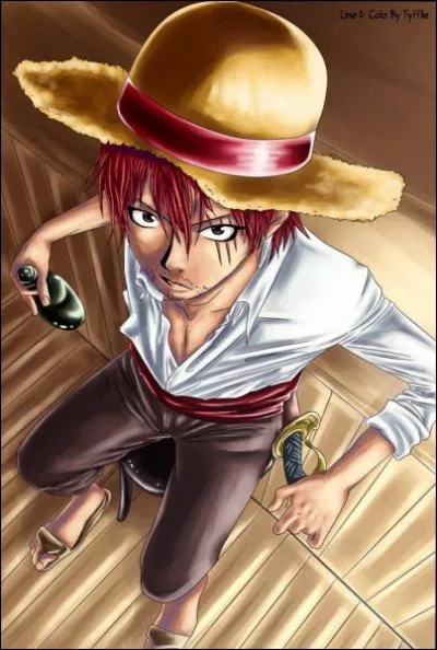 A qui appartenait ce chapeau de paille juste avant Shanks le Roux ?