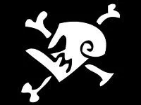 A quel quipage pirate appartient ce pavillon pirate ?