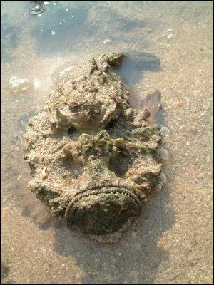 Devinerez-vous le nom de ce poisson pour ainsi dire assez rocailleux ?