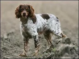 Quelle est ma taille ?