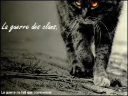 Qui mourra dans les montagnes ?