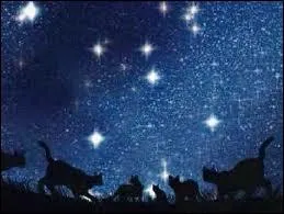 Quel est l'quivalent de la Pierre de Lune ?