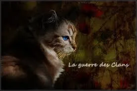 Qui devient chef du Clan du Vent ?