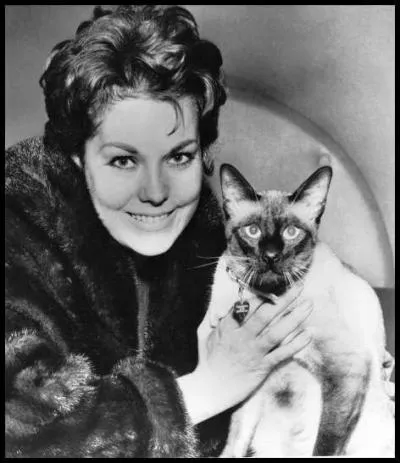 Voici une photographie de plateau (ni le chat ni l'actrice ne jouent donc ! ) du film  L'adorable voisine . Qui est la star ?