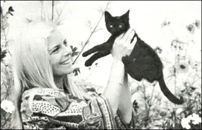 La blonde et le joli chaton tout noir, qui est la star ?