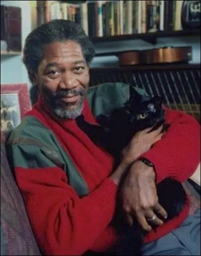 Encore une trs jolie photo de la star de la question 1, avec son chat. Quel rle a-t-il jou cet ami des chats ?
