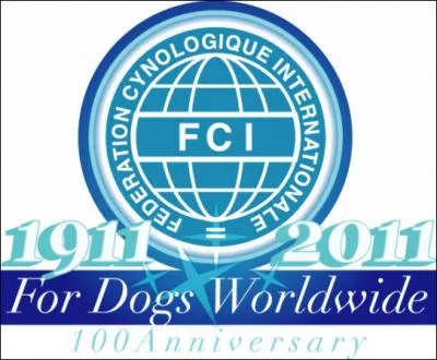 Qui est le directeur excutif de la FCI ?